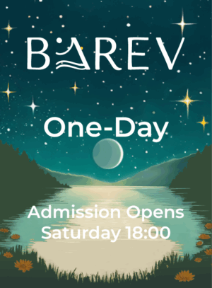One-Day Ticket (Saturday)